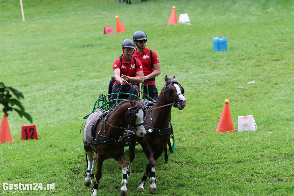 Pierwszy dzień Rokosowo Horse Show