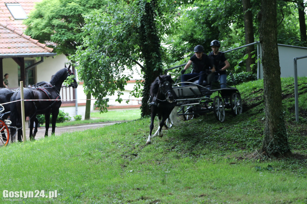 Pierwszy dzień Rokosowo Horse Show