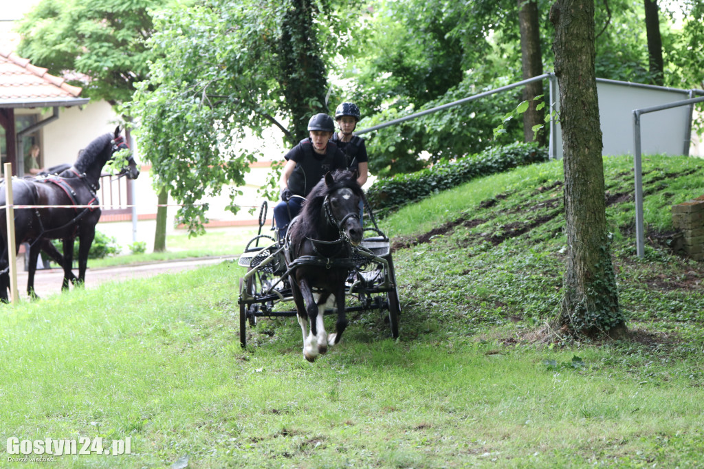 Pierwszy dzień Rokosowo Horse Show