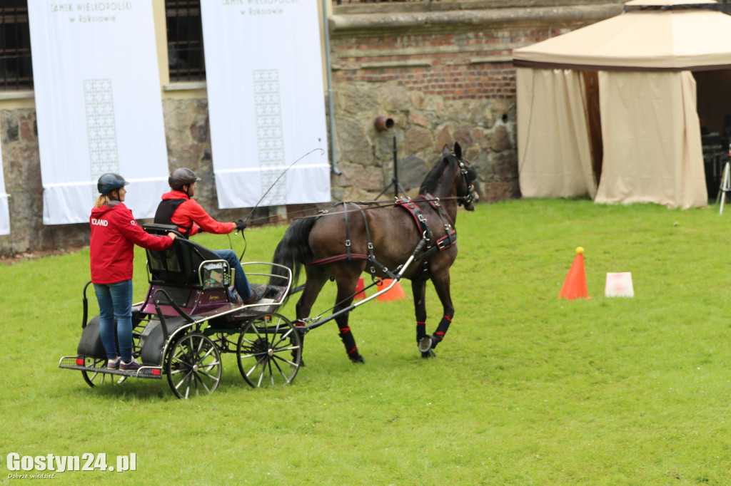 Pierwszy dzień Rokosowo Horse Show