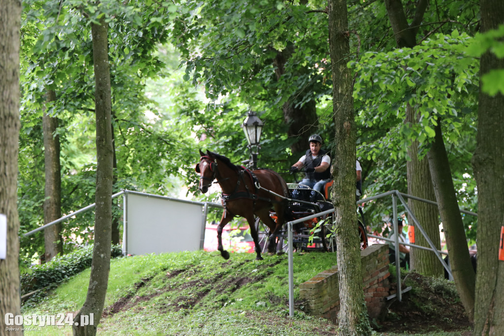 Pierwszy dzień Rokosowo Horse Show