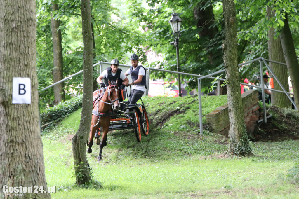 Pierwszy dzień Rokosowo Horse Show