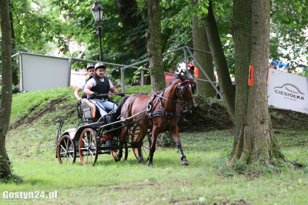 Pierwszy dzień Rokosowo Horse Show