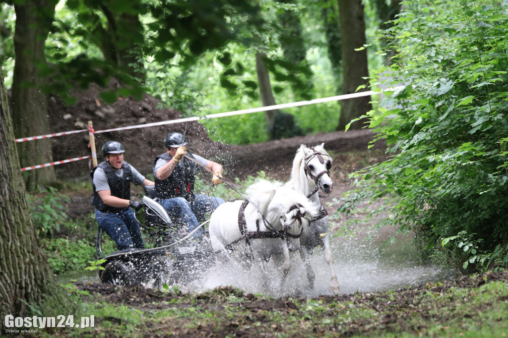 Pierwszy dzień Rokosowo Horse Show