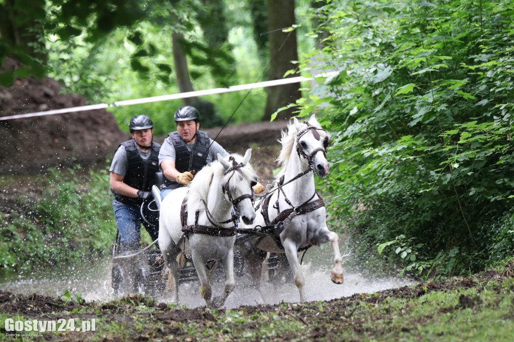 Pierwszy dzień Rokosowo Horse Show