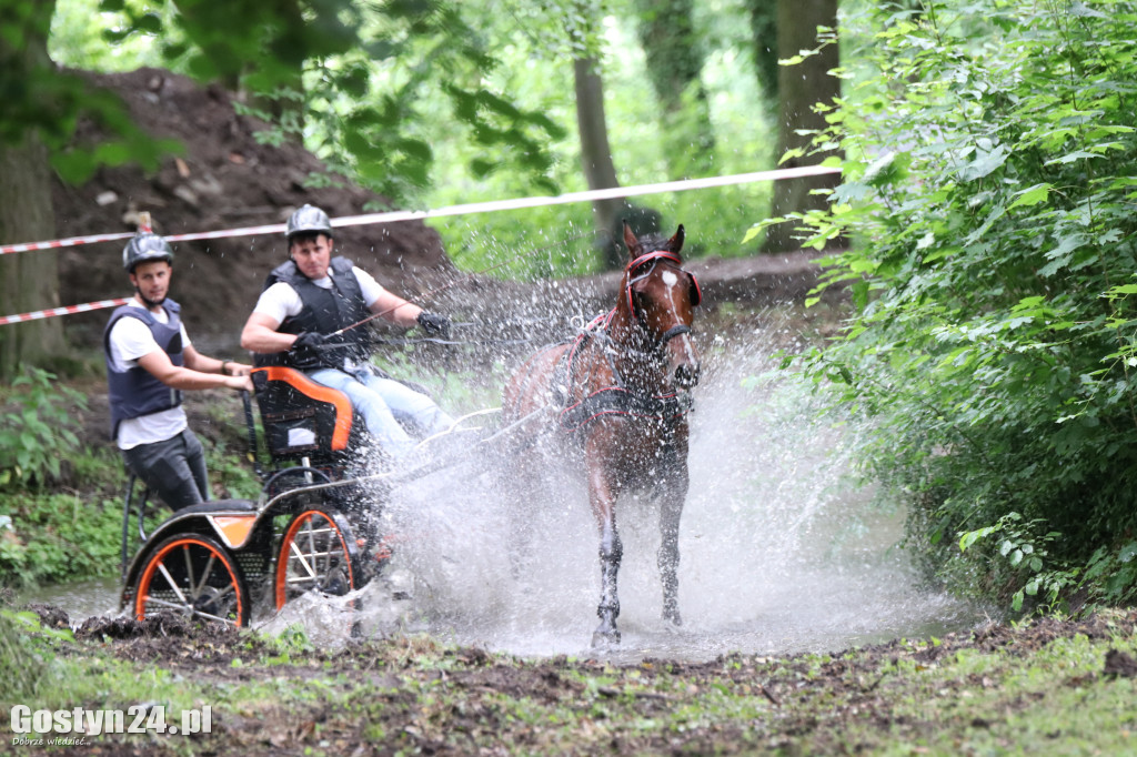 Pierwszy dzień Rokosowo Horse Show