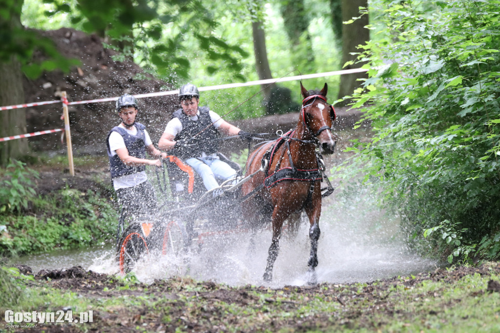 Pierwszy dzień Rokosowo Horse Show
