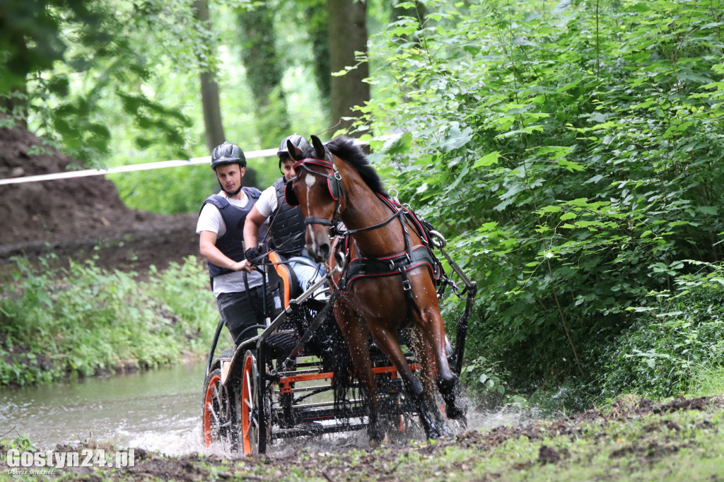 Pierwszy dzień Rokosowo Horse Show