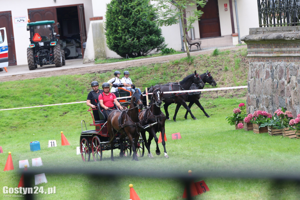 Pierwszy dzień Rokosowo Horse Show