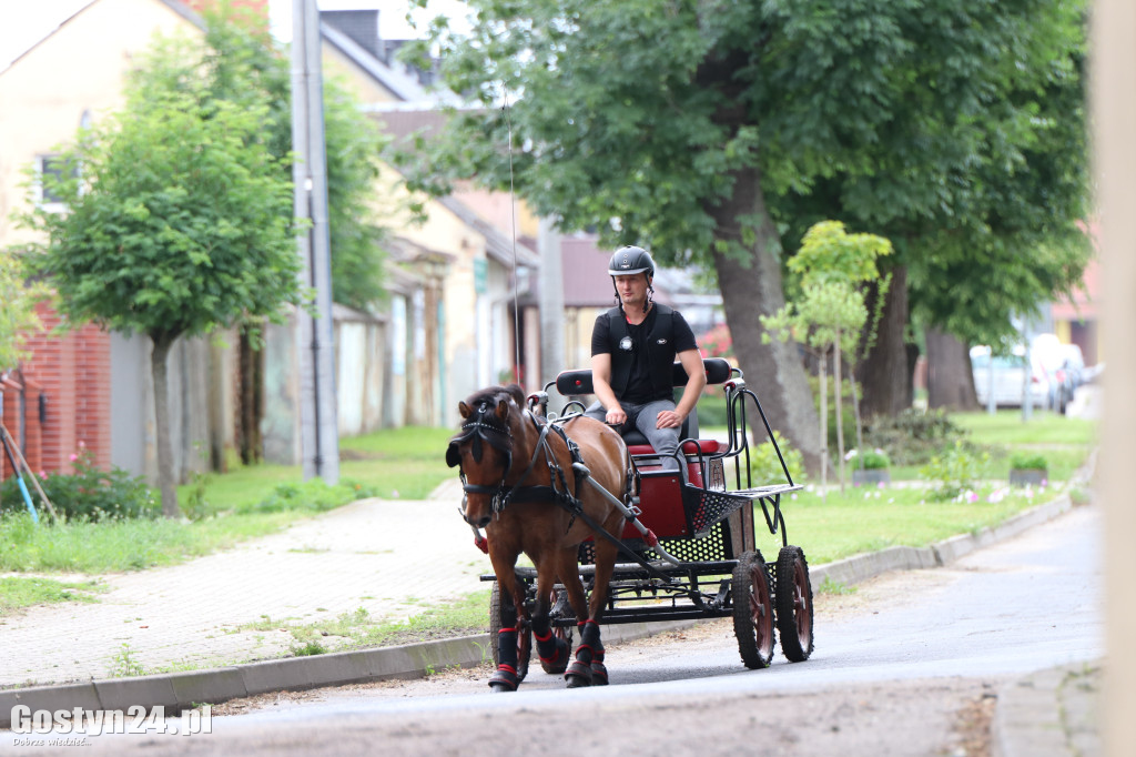 Pierwszy dzień Rokosowo Horse Show