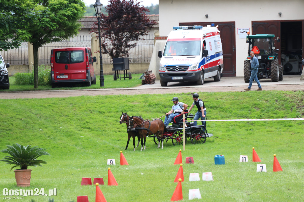 Pierwszy dzień Rokosowo Horse Show