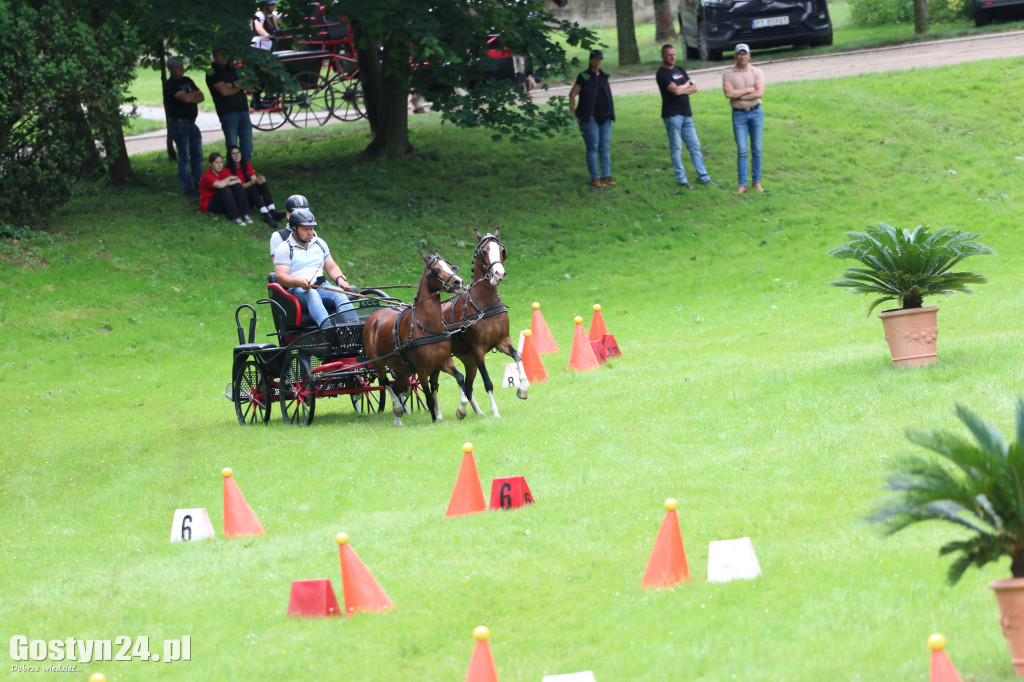 Pierwszy dzień Rokosowo Horse Show