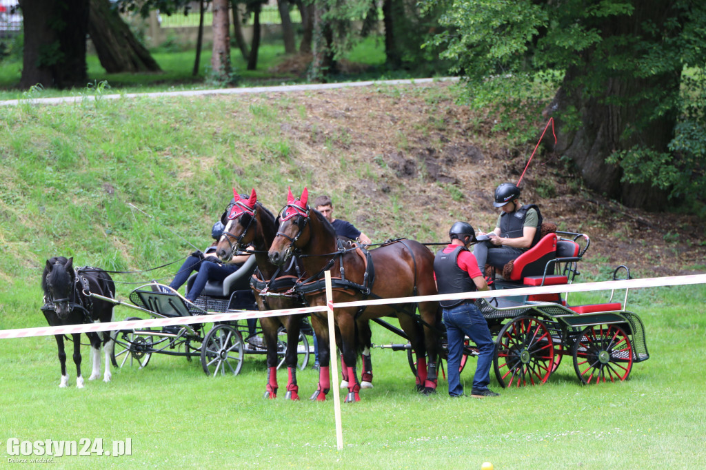Pierwszy dzień Rokosowo Horse Show