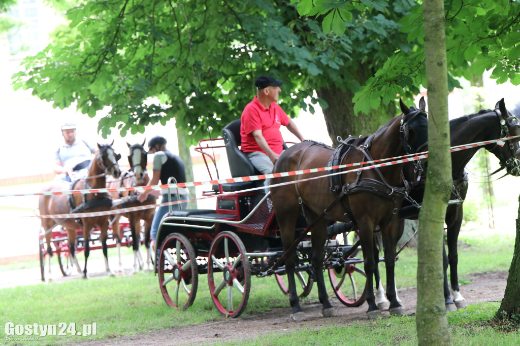 Pierwszy dzień Rokosowo Horse Show