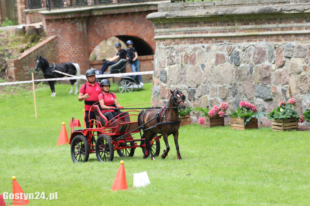 Pierwszy dzień Rokosowo Horse Show