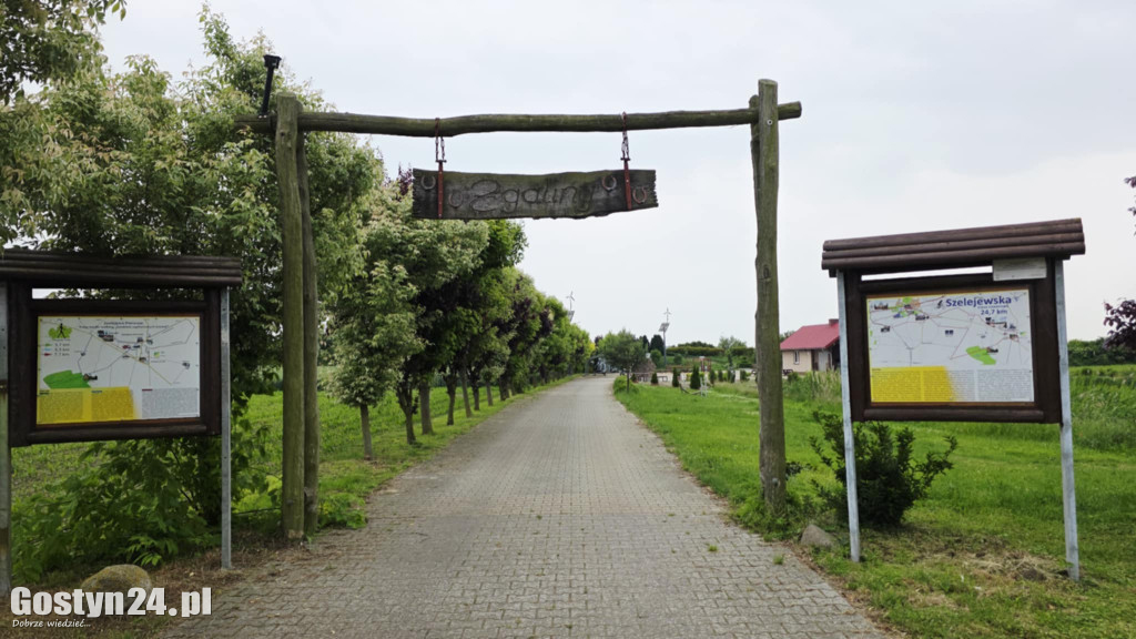 Śnięte ryby w stawie na Żgalinach