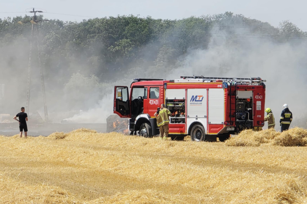 Pożar pola w Krzekotowicach, w gminie Pępowo