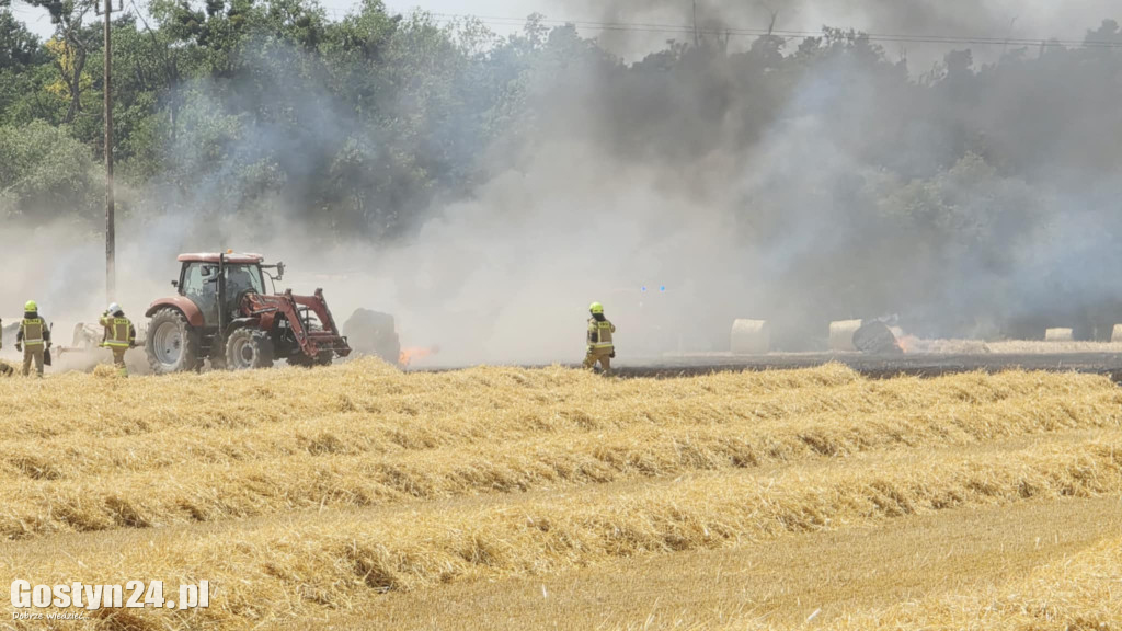 Pożar pola w Krzekotowicach, w gminie Pępowo