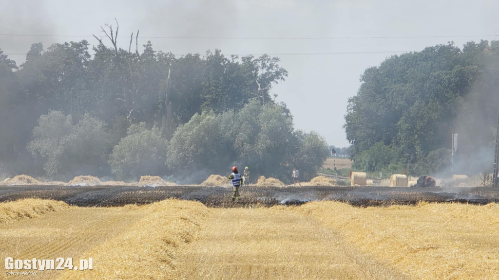 Pożar pola w Krzekotowicach, w gminie Pępowo