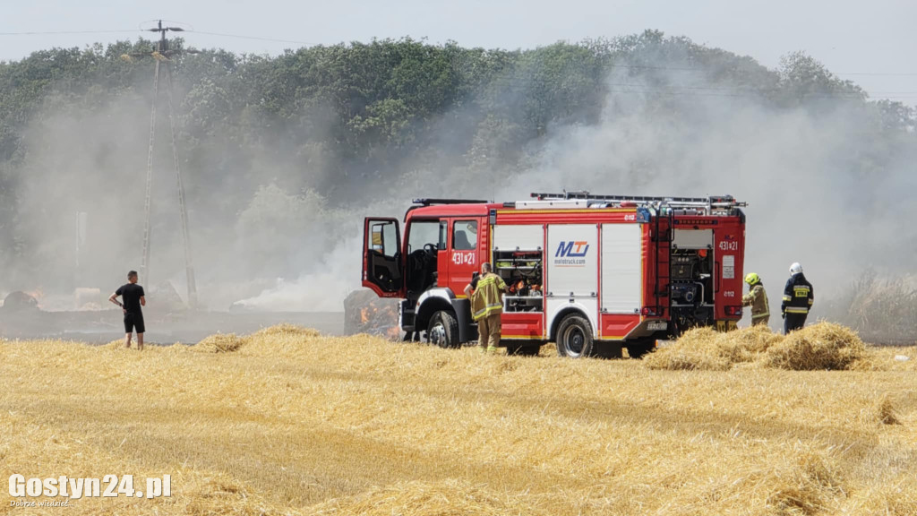 Pożar pola w Krzekotowicach, w gminie Pępowo