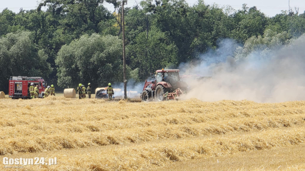 Pożar pola w Krzekotowicach, w gminie Pępowo