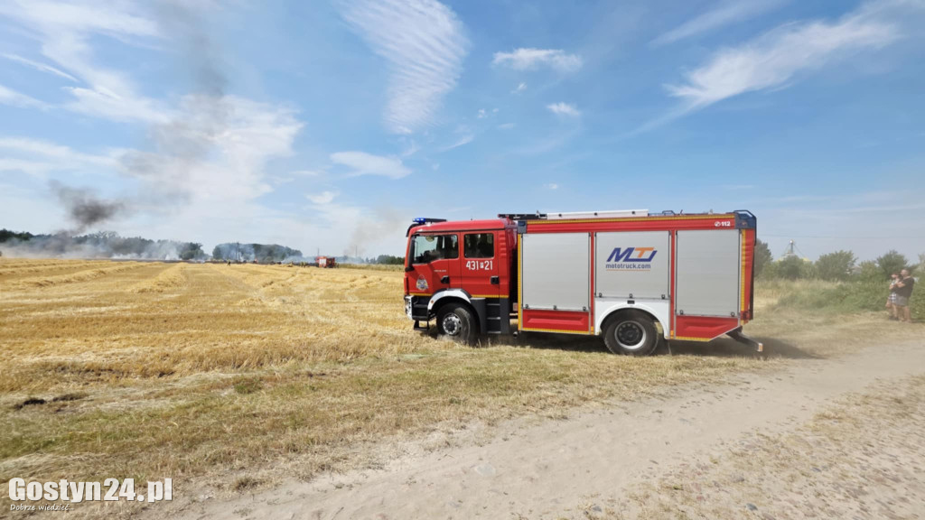 Pożar pola w Krzekotowicach, w gminie Pępowo