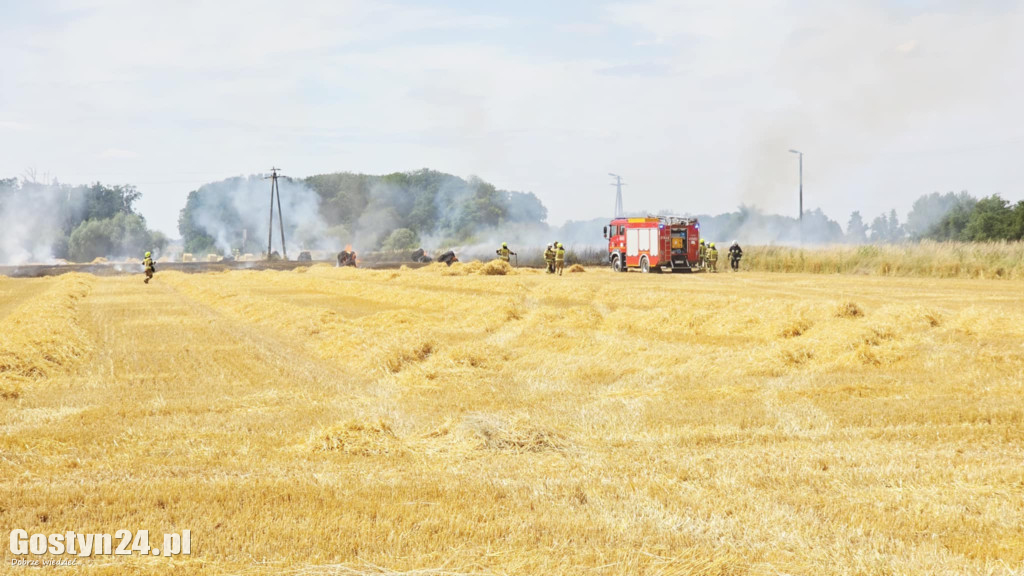 Pożar pola w Krzekotowicach, w gminie Pępowo