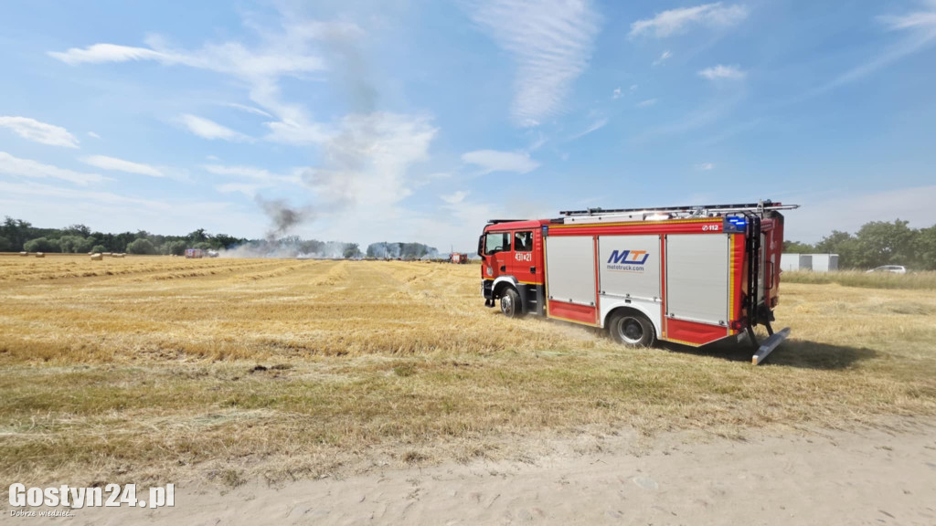 Pożar pola w Krzekotowicach, w gminie Pępowo
