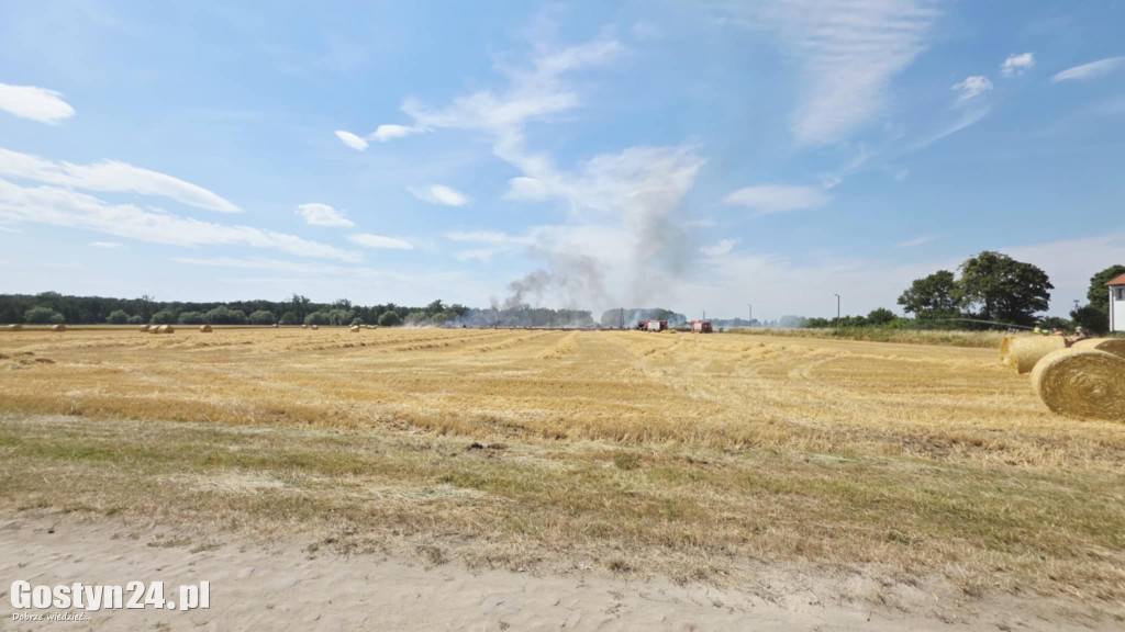 Pożar pola w Krzekotowicach, w gminie Pępowo