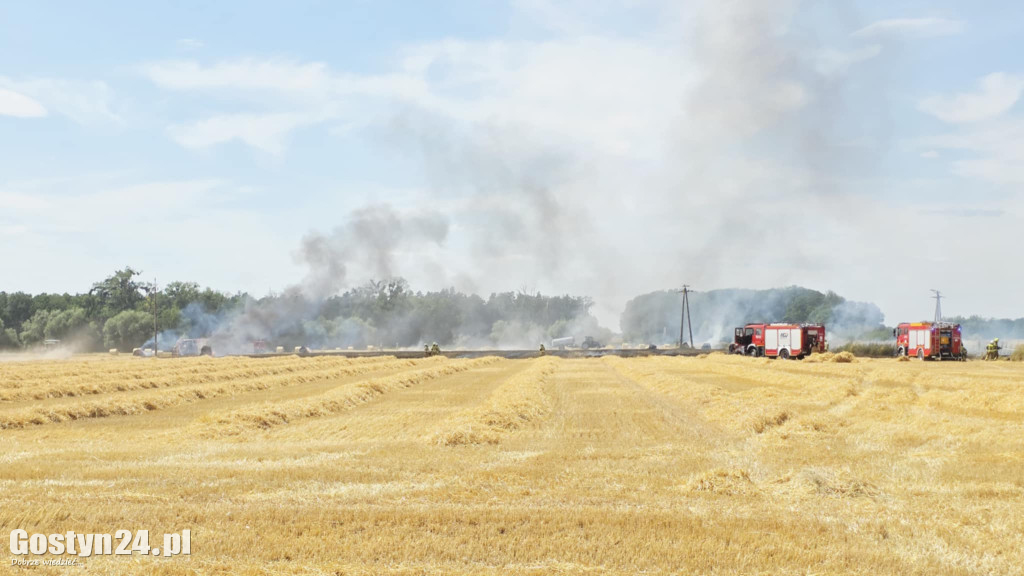 Pożar pola w Krzekotowicach, w gminie Pępowo