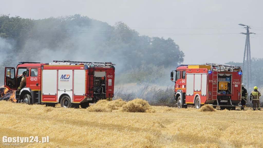 Pożar pola w Krzekotowicach, w gminie Pępowo