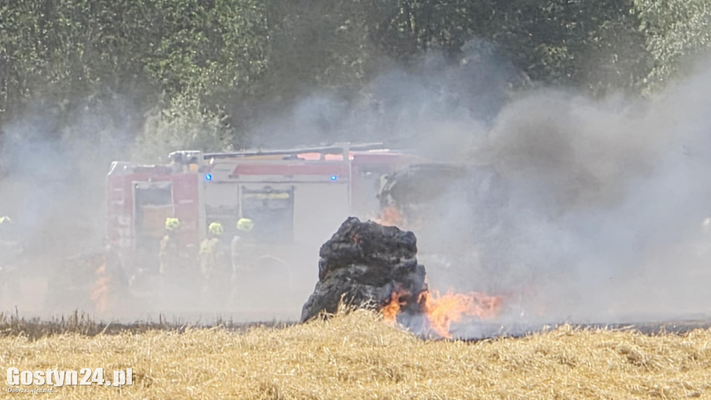Pożar pola w Krzekotowicach, w gminie Pępowo