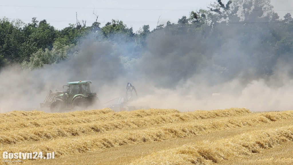 Pożar pola w Krzekotowicach, w gminie Pępowo