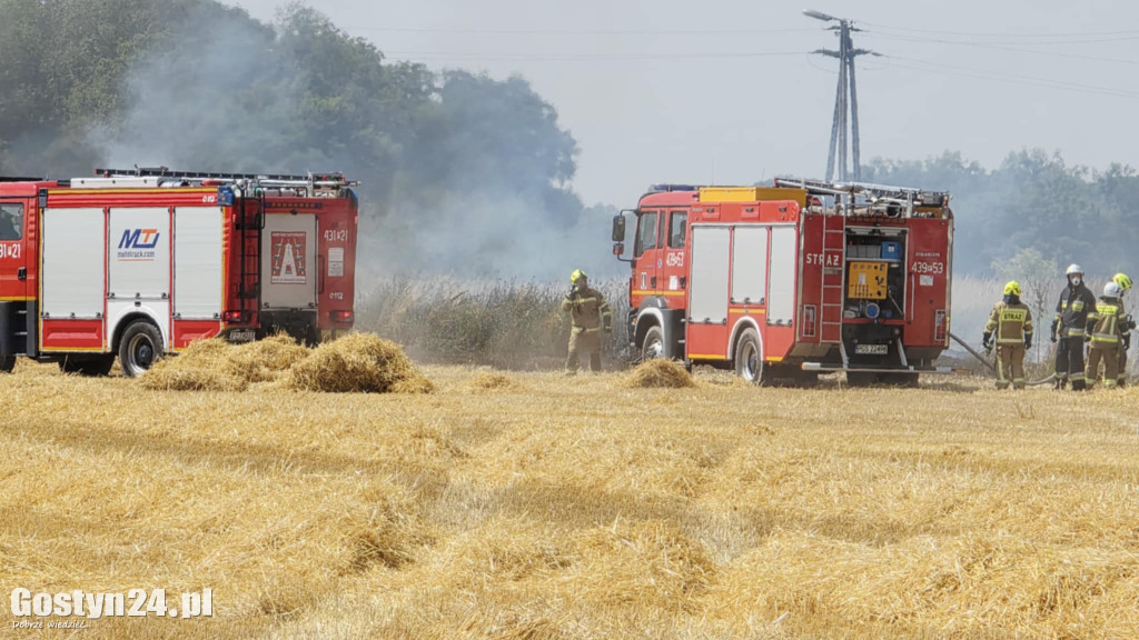 Pożar pola w Krzekotowicach, w gminie Pępowo