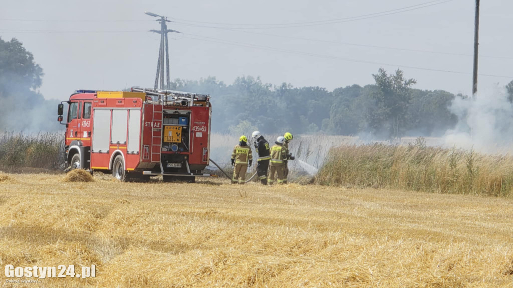 Pożar pola w Krzekotowicach, w gminie Pępowo