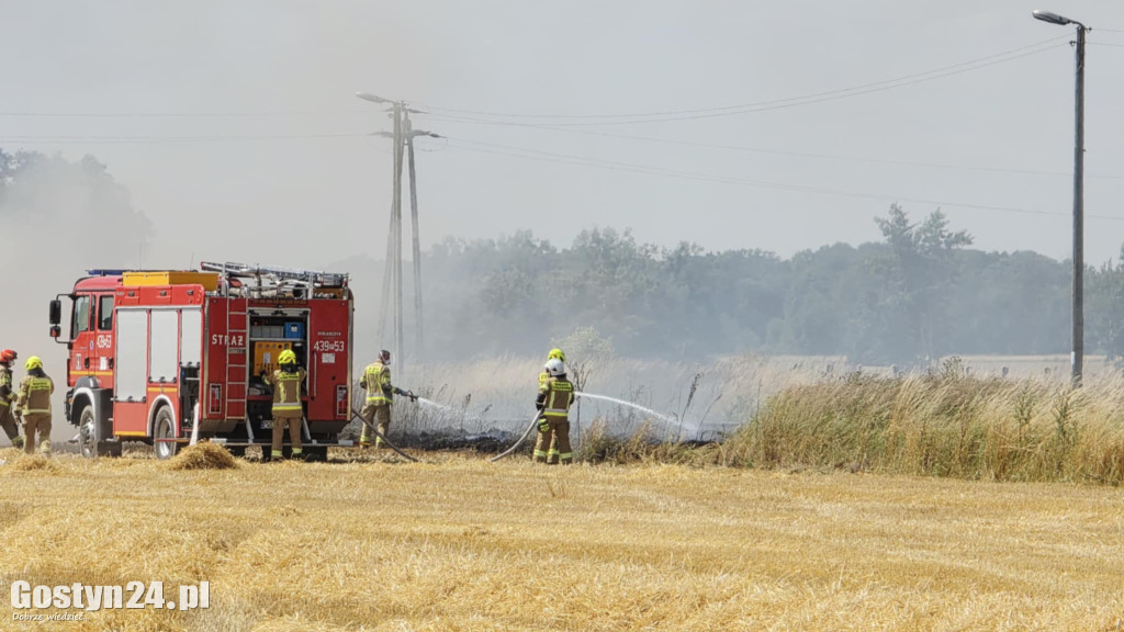Pożar pola w Krzekotowicach, w gminie Pępowo