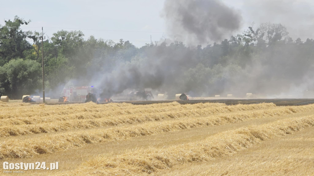Pożar pola w Krzekotowicach, w gminie Pępowo