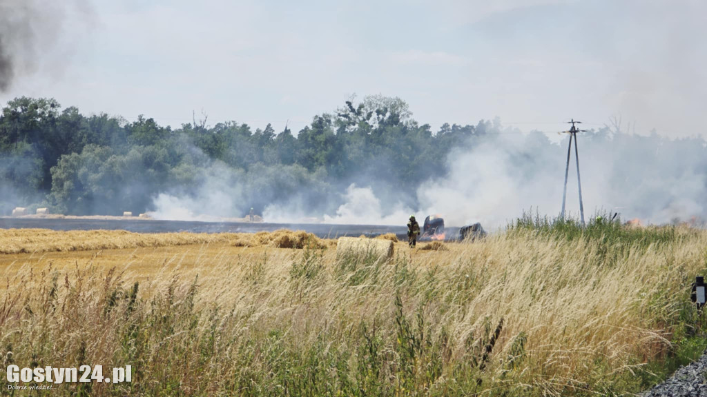 Pożar pola w Krzekotowicach, w gminie Pępowo