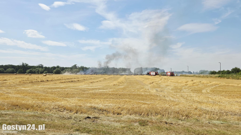 Pożar pola w Krzekotowicach, w gminie Pępowo