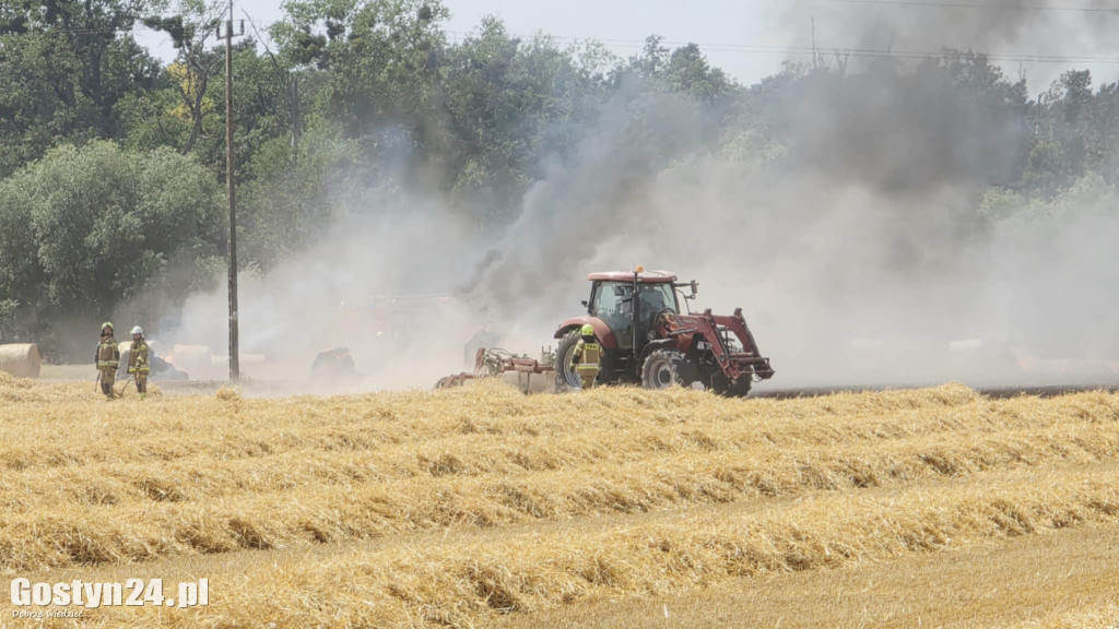 Pożar pola w Krzekotowicach, w gminie Pępowo