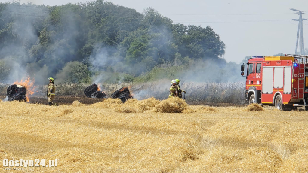 Pożar pola w Krzekotowicach, w gminie Pępowo