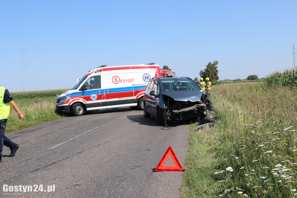 Zderzenie na trasie Strzelce Wielkie-Lipie