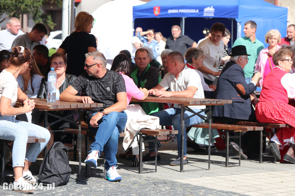 Dożynki Gminne na rynku w Pogorzeli