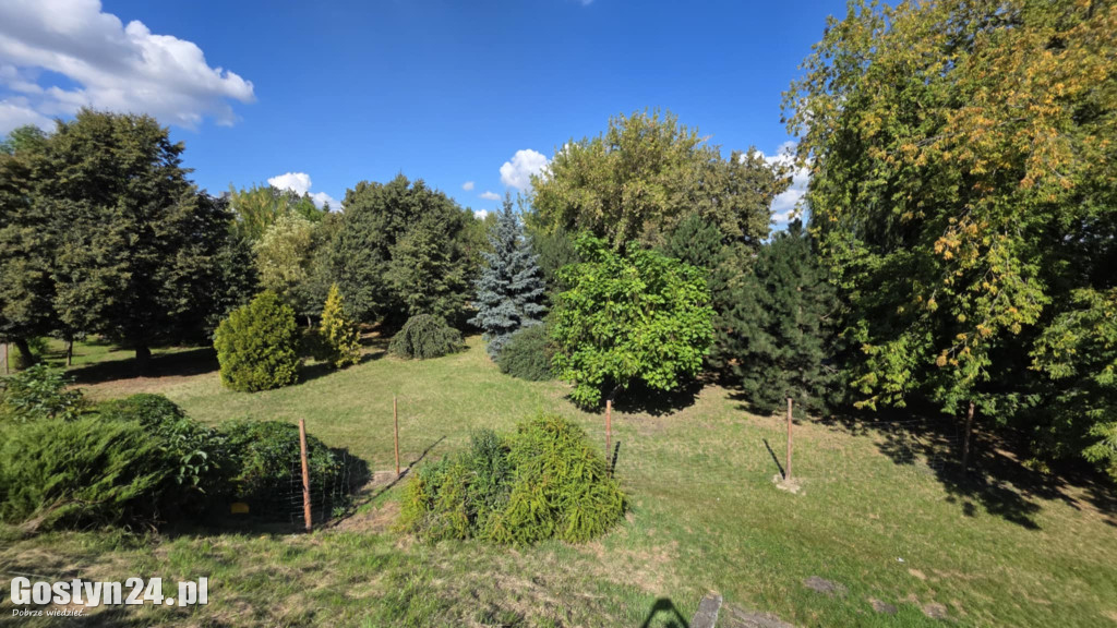 Trwa zielona rewolucja w centrum Gostynia