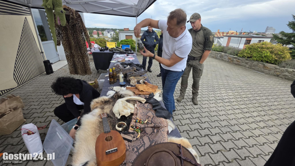 Piknik edukacyjny w ramach Kryminalnego Magla w GOK Hutnik