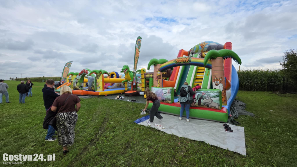 13. Festiwal Tradycji i Folkloru w Domachowie