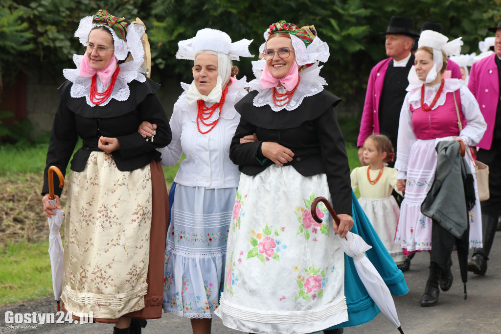 13. Festiwal Tradycji i Folkloru w Domachowie
