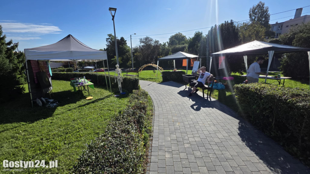Festiwal naukowy w GOK Hutnik w Gostyniu