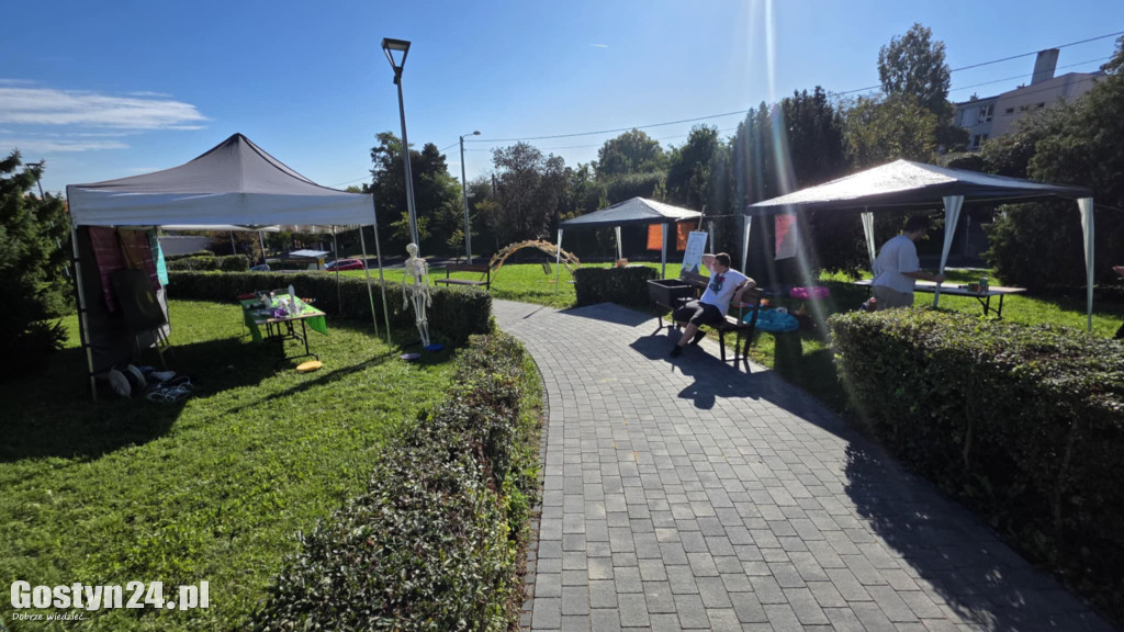 Festiwal naukowy w GOK Hutnik w Gostyniu