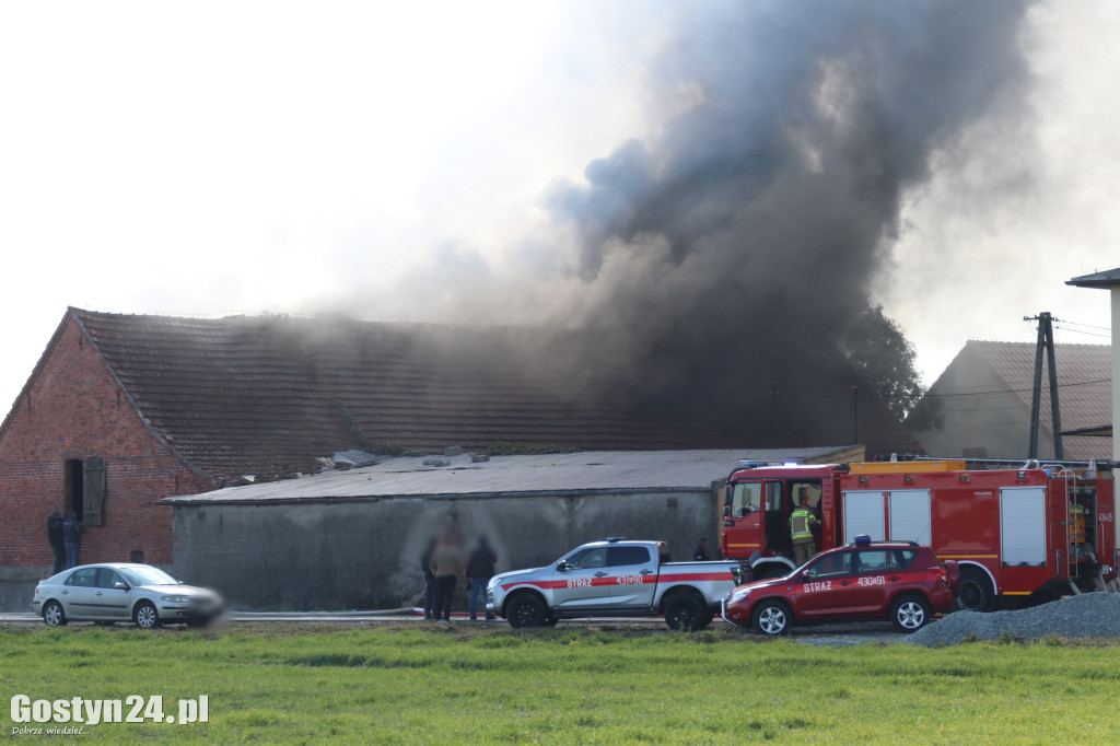 Pożar hali w Czeliścinie, gmin Pępowo